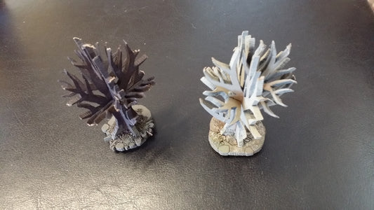 Saplings